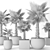  Washingtonia Palm Set. Brahea edulis. 3D model small image 3