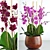 Exquisite Orchid 7: Stunning Flower, 3D Max and FBX Files 3D model small image 1