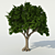 Exterior Tree: 3m Height, 2.8m Crown 3D model small image 1