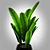 Tropical Vibes: Indoor Banana Tree! 3D model small image 2