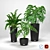 Title: Tropical Oasis: Lush Plants in Wicker Pots 3D model small image 1