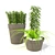 Botanical Bliss: 3D Plant Collection 3D model small image 1