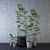 Exquisite Plant Pot Collection 3D model small image 1