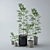 Exquisite Plant Pot Collection 3D model small image 2