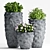 Stylish Plant Set - Perfect for Any Space! 3D model small image 1