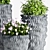 Stylish Plant Set - Perfect for Any Space! 3D model small image 3