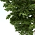 Architectural Filler: Broadleaf Beauty 3D model small image 3