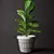 Exquisite Ficus Lyrata Model Kit 3D model small image 1