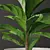 Exquisite Ficus Lyrata Model Kit 3D model small image 2