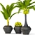Tropical Bliss Coconut Palm Set 3D model small image 1