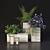 Nature's Delight: Decor Set with Plants 3D model small image 2