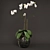 Elegant Glass Vase Orchid 3D model small image 1