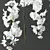 Elegant Phalaenopsis Orchid Set 3D model small image 2