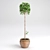 3D Max Plant Creation Kit 3D model small image 1