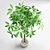 3D Plant Design: Maximize Visual Impact 3D model small image 2