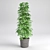 3D Plant Model: Realistic Greenery 3D model small image 1
