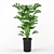 Elegant Monstera Deliciosa 3D model small image 1