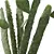 Realistic Cactus Set 3D model small image 3