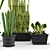 Exotic Snake Plant Duo 3D model small image 2