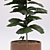 Tall Fiddle Leaf Fig: 40cm 3D model small image 2