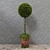 Decorative Potted Tree 3D model small image 1