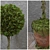 Decorative Potted Tree 3D model small image 2