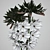 Elegant Narcissus Vase - Limited Edition 3D model small image 3