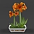 Exotic Tiger Lily Flower and Vase 3D model small image 1