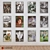 Historic Moments: Framed Photo Collection 3D model small image 1