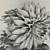 Dazzling Dahlias: Blooming Beauty 3D model small image 3