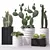 Modern Indoor Plant Set 3D model small image 1