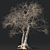 Eternal Timber: 3D Dead Tree 3D model small image 1