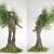 Enchanted Leafy Maiden 3D model small image 2