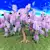 Elegant Wisteria Tree 3D model small image 2