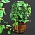  Barrel Bush Cucumber 3D model small image 1