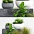 Botanical Beauties: Vibrant Plants & Stylish Planters 3D model small image 3