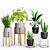 Wooden Leg Planters Set 3D model small image 1