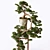 Elegant Bonsai Tree for Home Decor 3D model small image 2