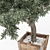 OliveTree: Green Oasis for Any Space 3D model small image 2