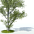 Elegant Aspen Tree 3D model small image 2