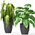 Greenery in Pots Collection 3D model small image 1