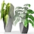 Greenery in Pots Collection 3D model small image 3