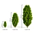 Lifelike Thuja Trio: 3 Ages 3D model small image 1