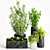 Exquisite Plants & Planters Set 3D model small image 1