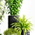 Exquisite Plants & Planters Set 3D model small image 3