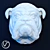 English Bulldog Plaster Head 3D model small image 2