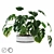 Versatile Liana Monstera: Concrete Pot 3D model small image 1