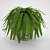 Elegant Boston Fern: Home Decor 3D model small image 1