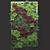 3-in-1 Herbal Fitostena 3D model small image 1