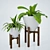 Green Oasis: Indoor Plants 3D model small image 1